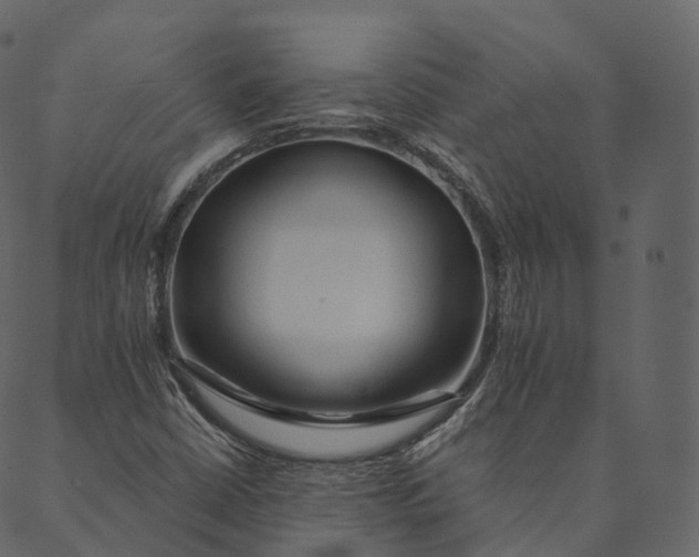 X0000089661402200707121147