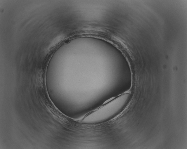 X0000089661403200707121147