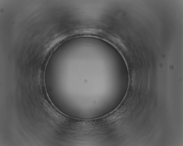 X0000089661404200707121147