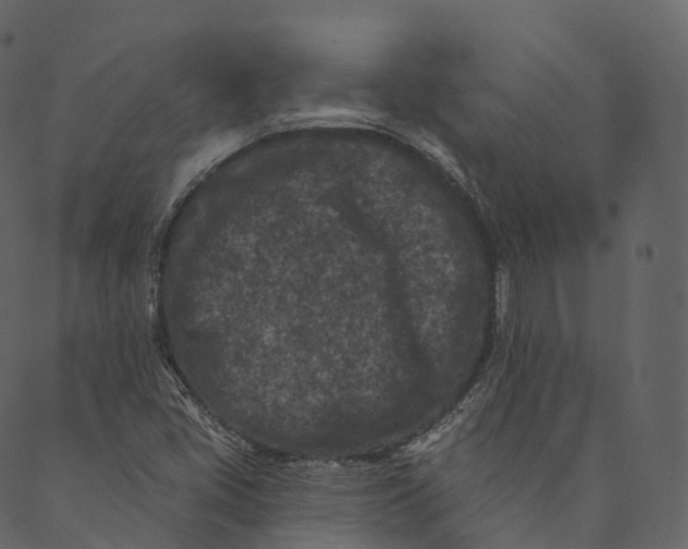 X0000089661405200707121147