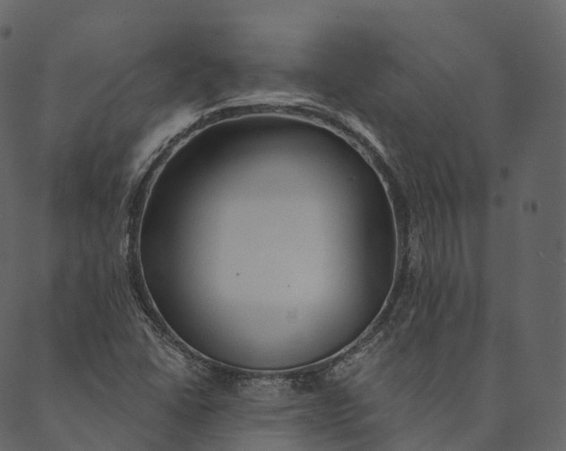 X0000089661406200707121147