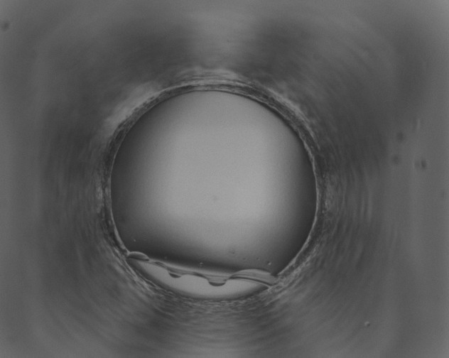 X0000089661407200707121147