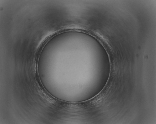 X0000089661408200707121147