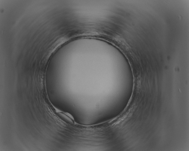 X0000089661409200707121147