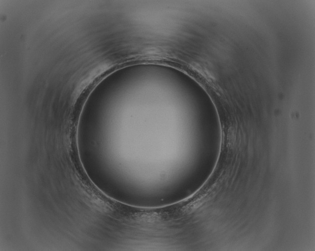 X0000089661410200707121147