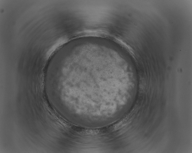 X0000089661411200707121147