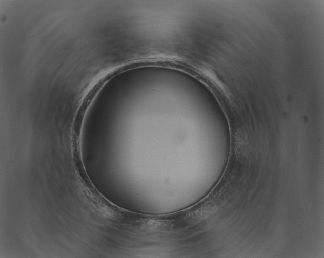 X0000089661412200707121147