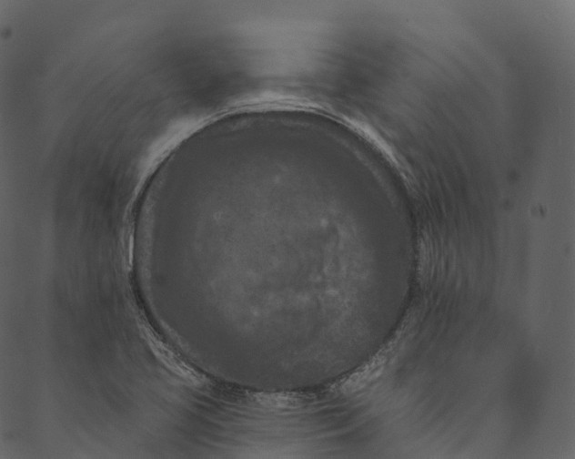 X0000089661413200707121147