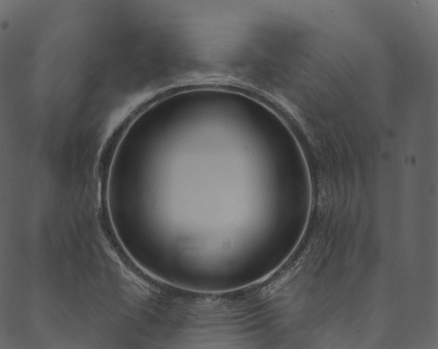 X0000089661414200707121147