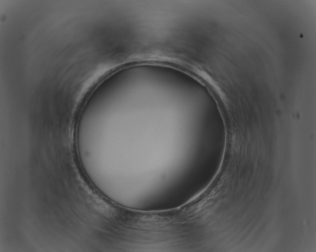 X0000089661416200707121147