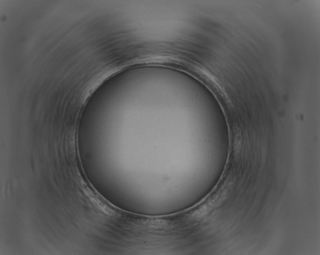 X0000089661417200707121147