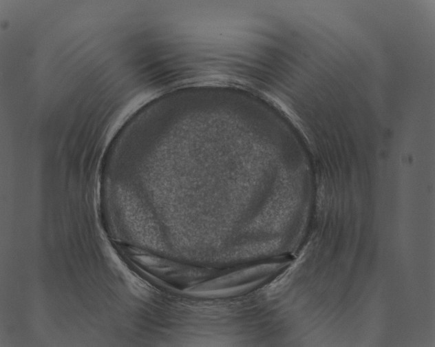 X0000089661418200707121147