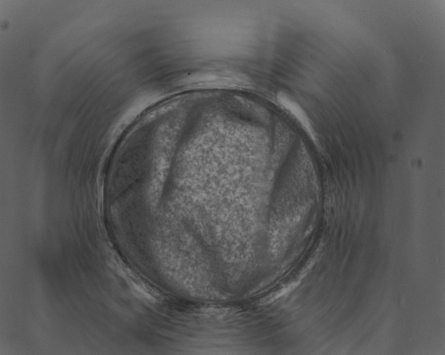 X0000089661419200707121147