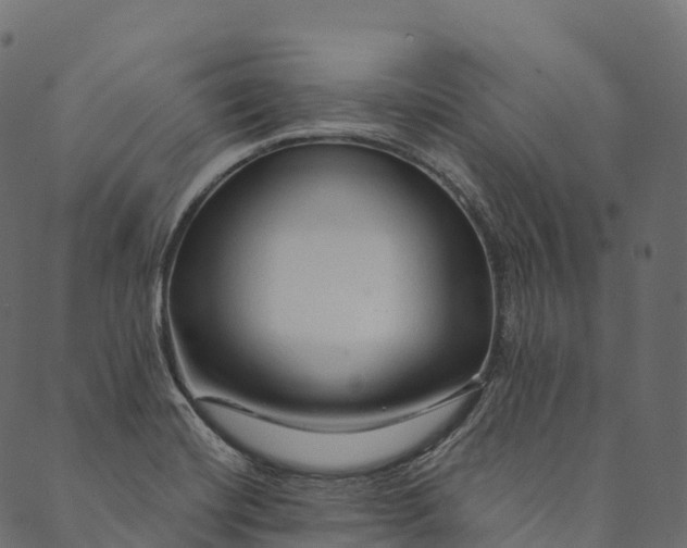 X0000089661420200707121147