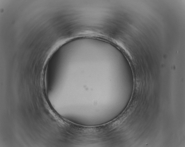 X0000089661421200707121147