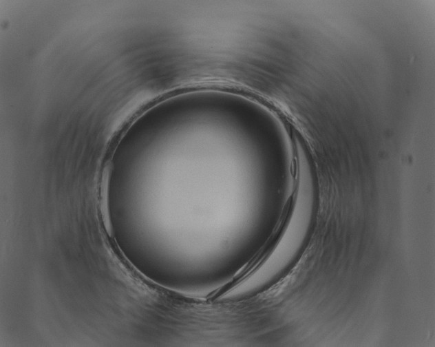 X0000089661422200707121147