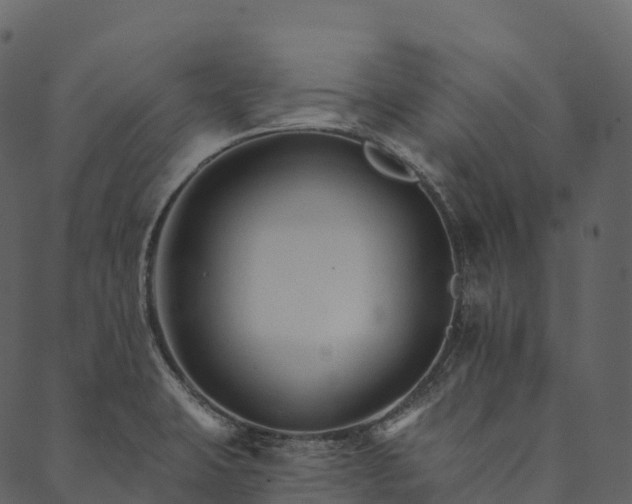 X0000089661423200707121147