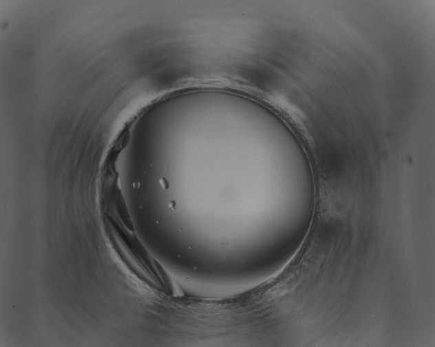 X0000089661424200707121147