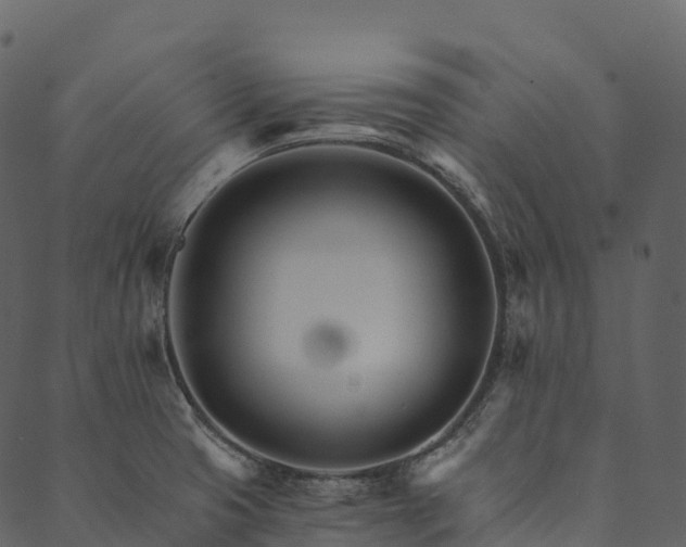 X0000089661425200707121147