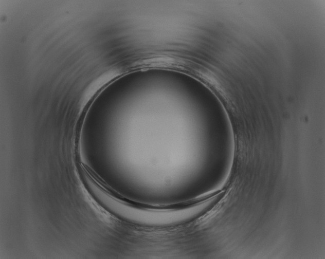 X0000089661426200707121147