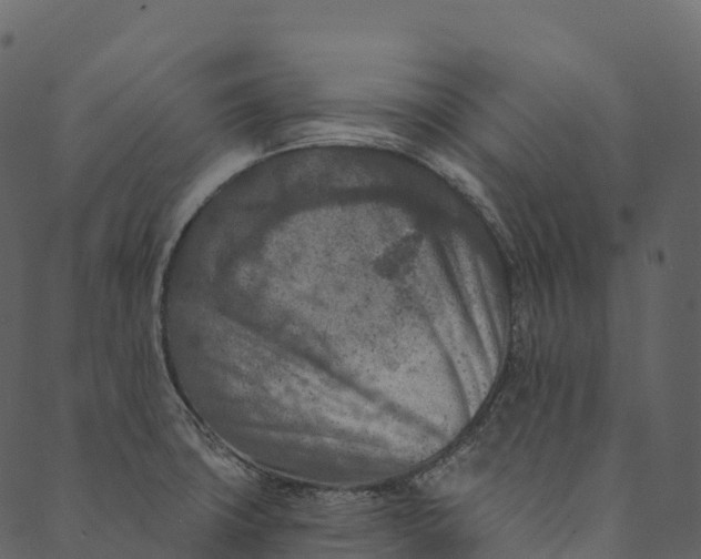 X0000089661427200707121147