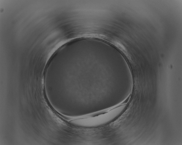 X0000089661428200707121148