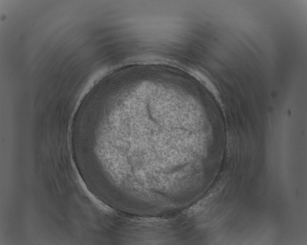 X0000089661429200707121148