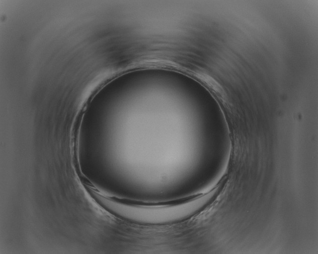 X0000089661430200707121148