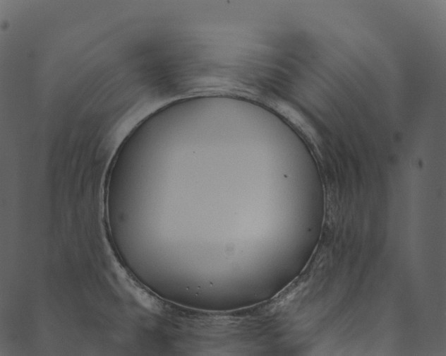 X0000089661431200707121148