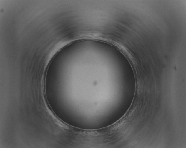 X0000089661432200707121148