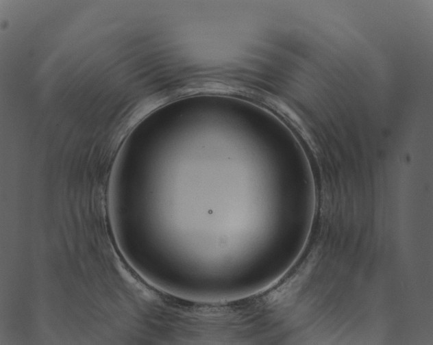 X0000089661433200707121148