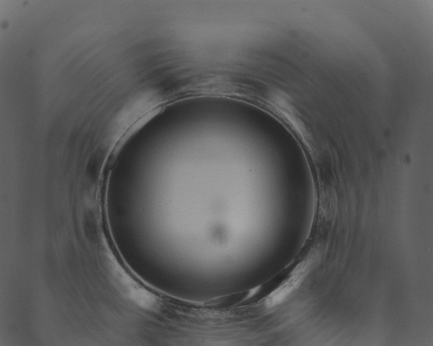 X0000089661434200707121148