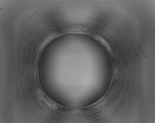 X0000089661435200707121148