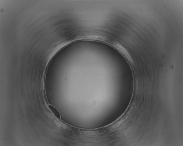 X0000089661436200707121148