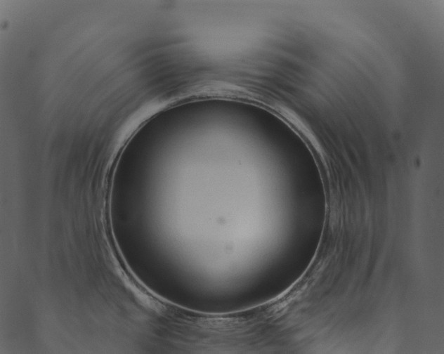 X0000089661437200707121148