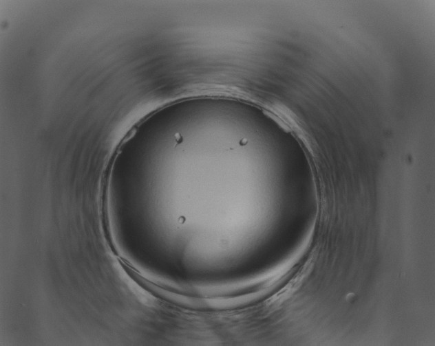 X0000089661438200707121148