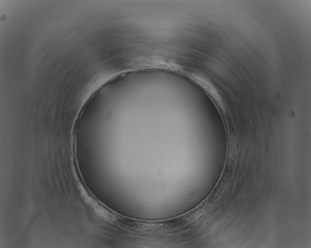 X0000089661439200707121148