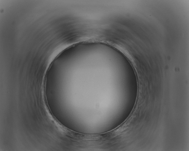 X0000089661440200707121148