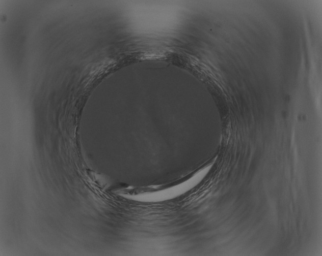 X0000089661441200707121147