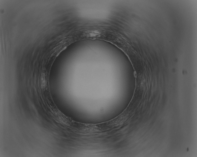 X0000089661442200707121147