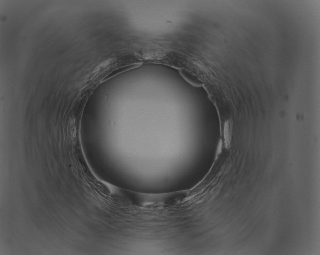 X0000089661443200707121147