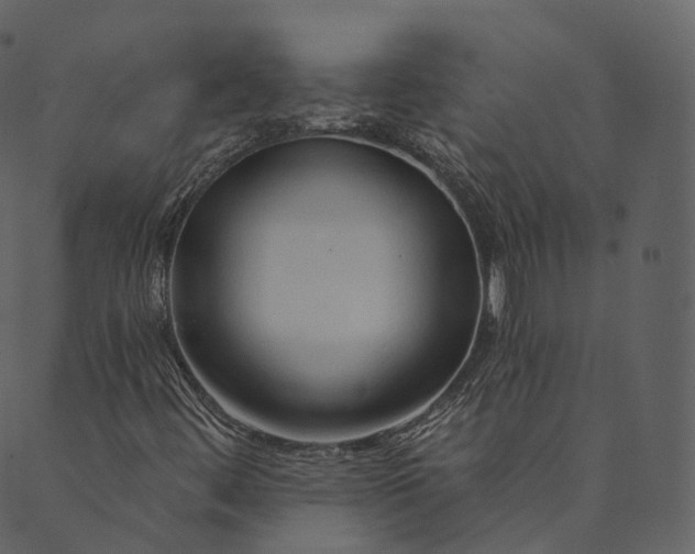 X0000089661444200707121147