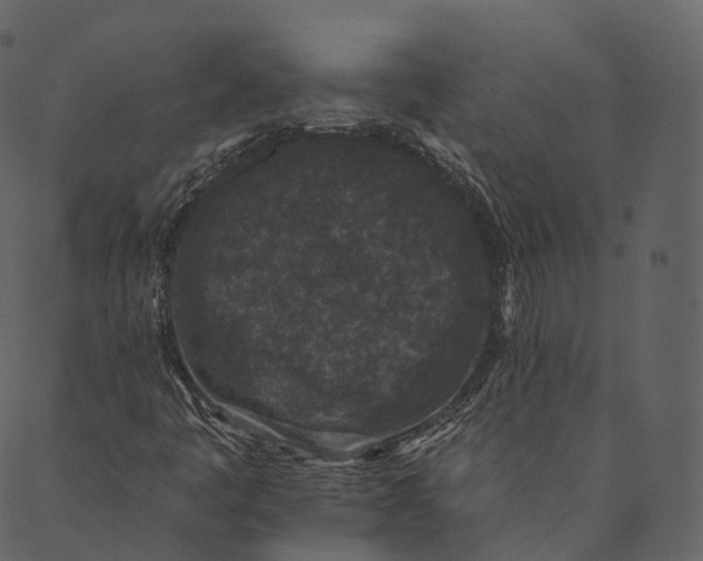 X0000089661445200707121147