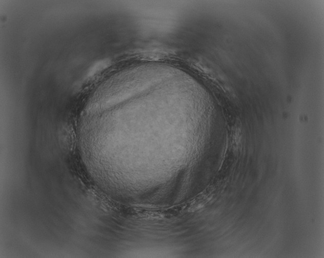 X0000089661446200707121147