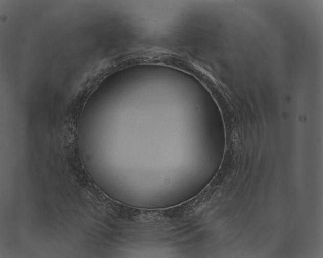 X0000089661447200707121147