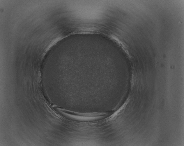 X0000089661449200707121147