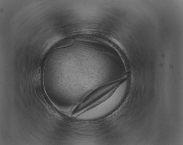 X0000089661450200707121147