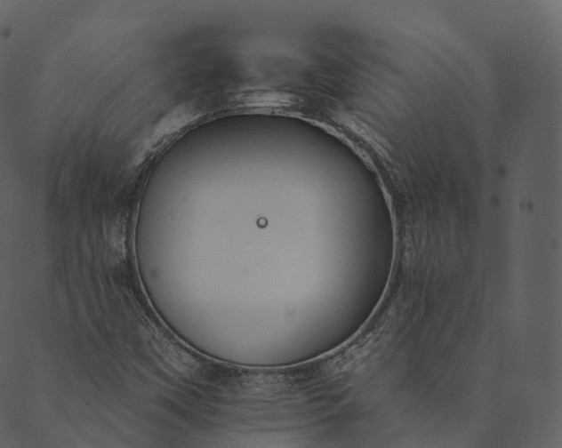 X0000089661451200707121147