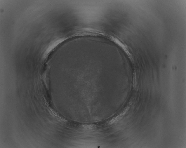 X0000089661453200707121147