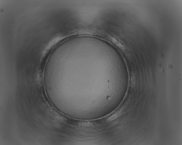 X0000089661454200707121147